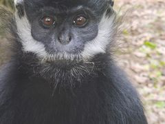 -上海动物园(地铁站)