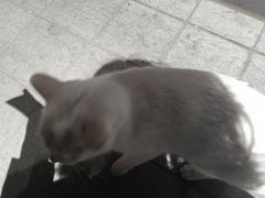 -交通银行前滩31演艺中心