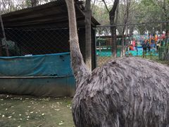 -草根堂农场