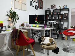 -羽·摄影工作室·外拍·跟拍·活动会议视频