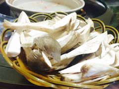 -山菌美食苑(振兴路店)