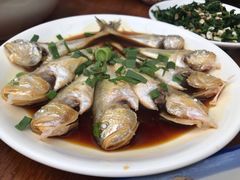 -大树下饭店(春晓镇慈岙社区卫生服务站南)