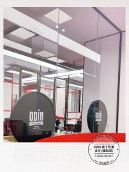 -ODIN 奥丁形象设计 