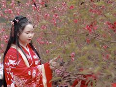 -南国桃园旅游度假区