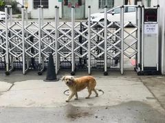 -来噻布布 Lets BUBU