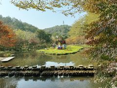 -田野绿世界