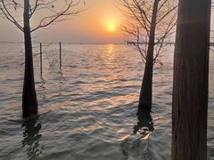 -滆湖低碳生态公园
