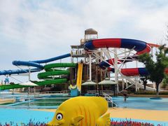 -秦皇岛乐岛海洋王国