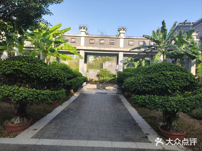 宝安西湾红树林湿地公园图片