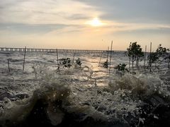 -宝安西湾红树林湿地公园