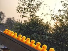-崇阳三特浪口温泉