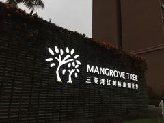 -三亚湾红树林度假世界(木棉酒店)