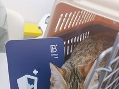 -拜鲁耶动物诊疗中心·宠家动物医院