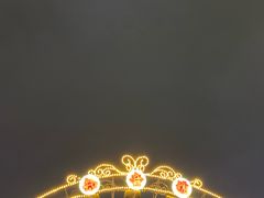-武汉知音号