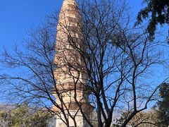 -崇圣寺三塔文化旅游区