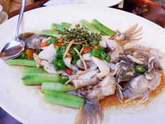-猪肉婆私房菜(容桂总店)