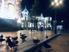 -芽庄珍珠岛游乐园