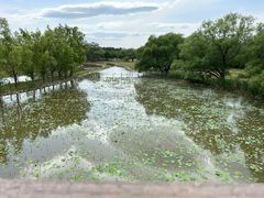 -北京麋鹿生态实验中心