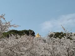 -苏州上方山国家森林公园