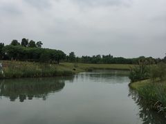 -两河城市森林公园