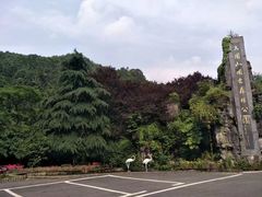 -大围山国家森林公园
