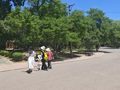 -二一九公园