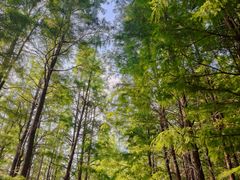 -云龙湖旅游景区