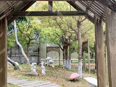 -上海都市菜园