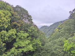 -广州市石门国家森林公园