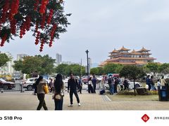 -野狸岛
