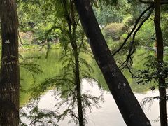 -深圳仙湖植物园