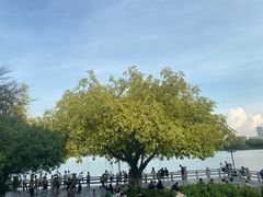 -海珠湖公园