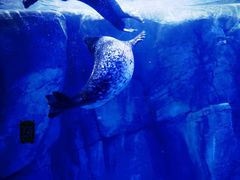 -波塞冬海底世界