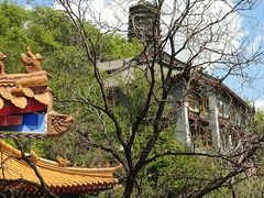 -高尔山公园