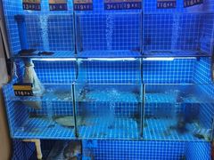 -陆记鹅庄·潮汕菜·狮头鹅(大仟里店)