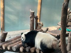 -青藏高原野生动物园