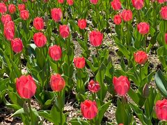 -长春公园(普阳街道)