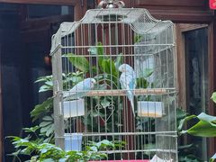 -束河人家(南锣鼓巷店)