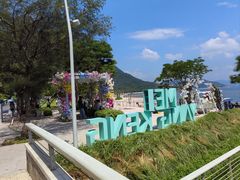-杨梅坑