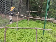 -哈尔滨北方森林动物园