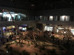 -自贡恐龙博物馆