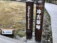 -稻城亚丁景区-冲古草甸