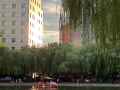 -团结湖公园