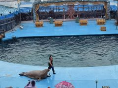 -海合安青岛极地海洋公园