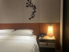 -广州奥园喜来登酒店