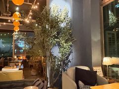 -咖法森林·咖啡  酒吧(天河店)