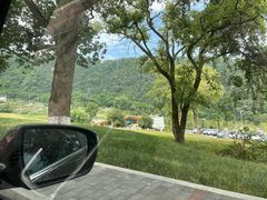 -缙云山景区