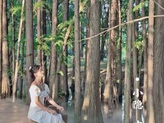 -东湖落雁景区