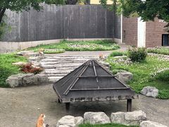 -上方山森林动物世界