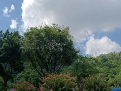 -火炉山森林公园